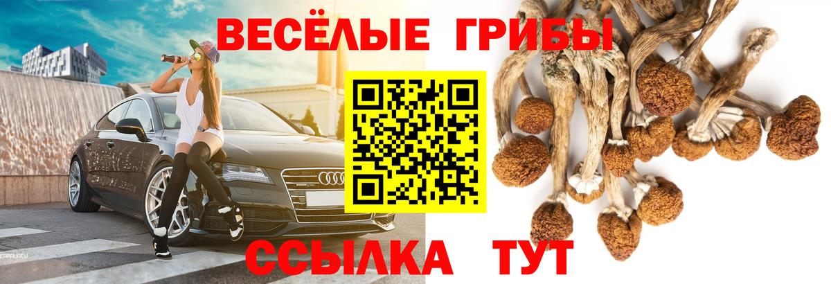 Нерюнгри  Галлюциногенные грибы прущие грибы  Псилоцибиновые грибы Psilocybine cubensis  Вход с VPN 