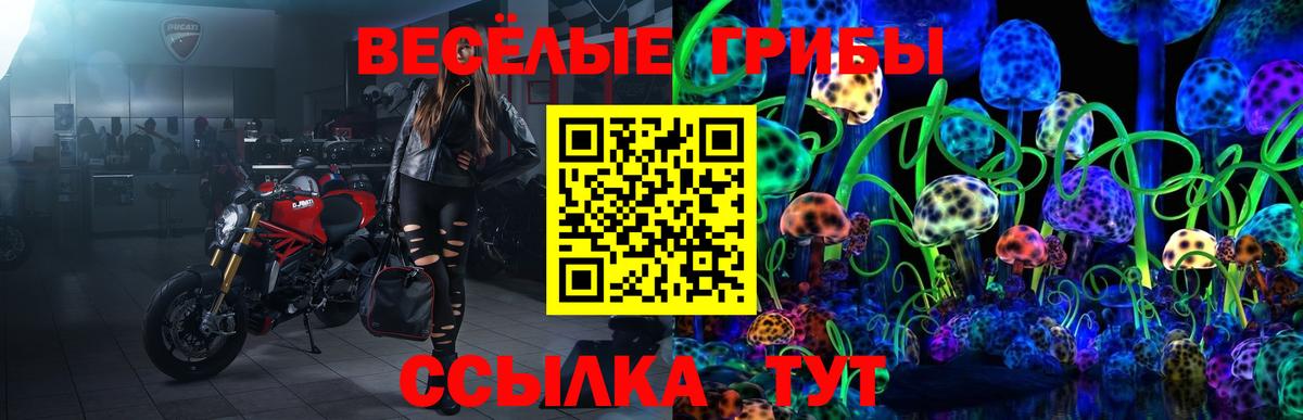 Галлюциногенные грибы MAGIC MUSHROOMS Нерюнгри